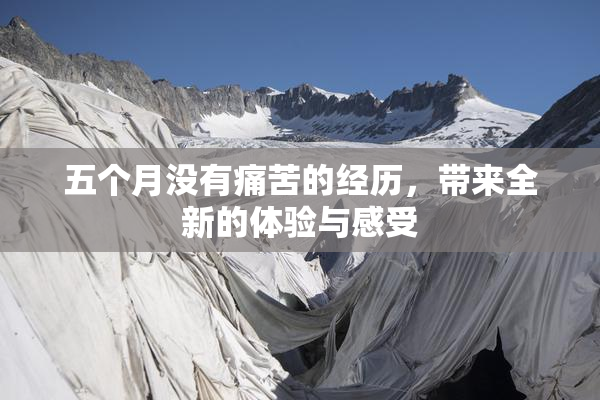 五个月没有痛苦的经历，带来全新的体验与感受