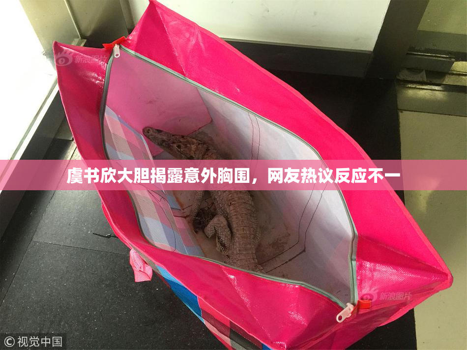 虞书欣大胆揭露意外胸围，网友热议反应不一