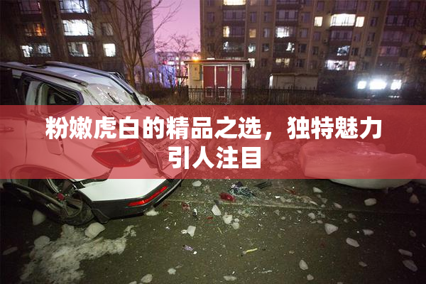 粉嫩虎白的精品之选，独特魅力引人注目
