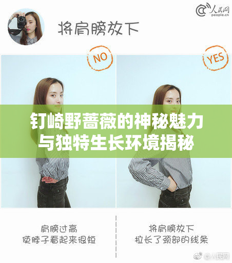 钉崎野蔷薇的神秘魅力与独特生长环境揭秘