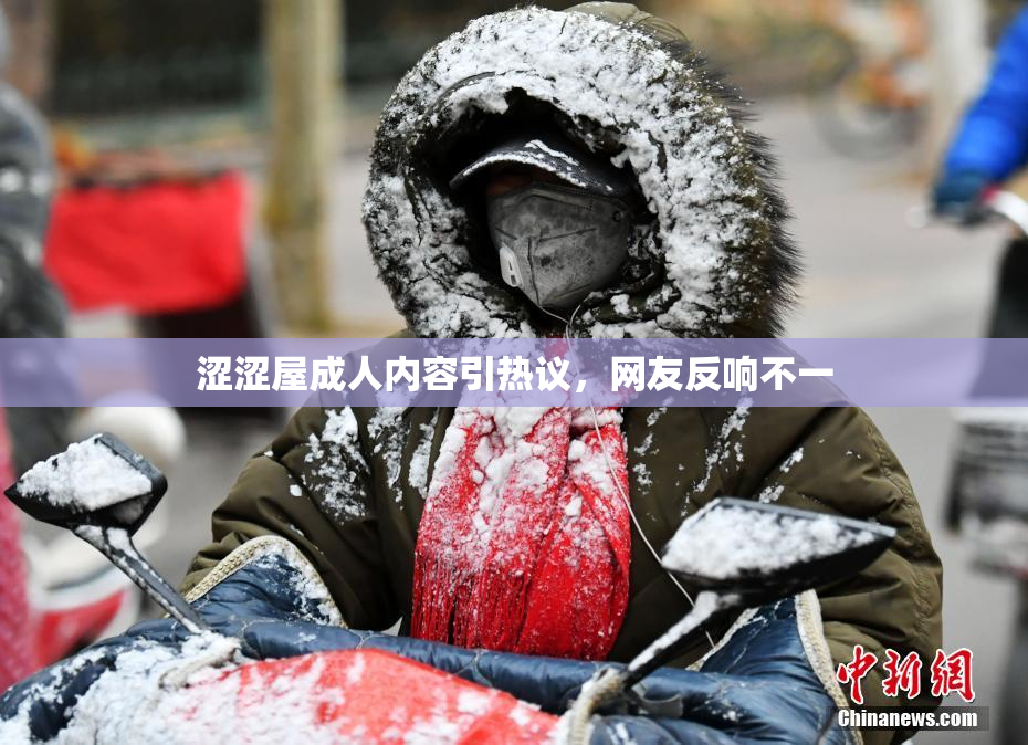 涩涩屋成人内容引热议，网友反响不一
