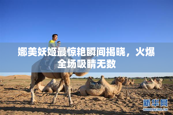 娜美妖姬最惊艳瞬间揭晓，火爆全场吸睛无数