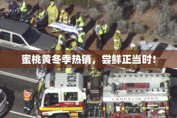 蜜桃黄冬季热销，尝鲜正当时！