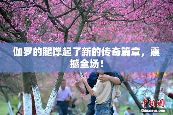 伽罗的腿撑起了新的传奇篇章，震撼全场！