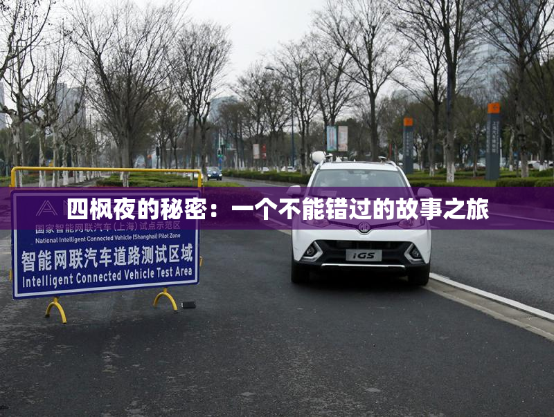 四枫夜的秘密：一个不能错过的故事之旅