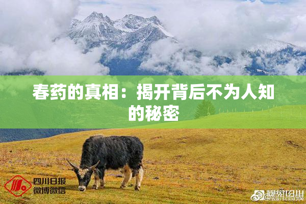 春药的真相：揭开背后不为人知的秘密