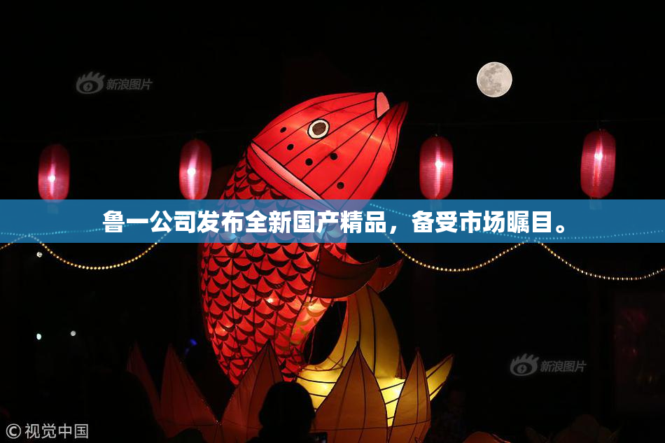 鲁一公司发布全新国产精品，备受市场瞩目。