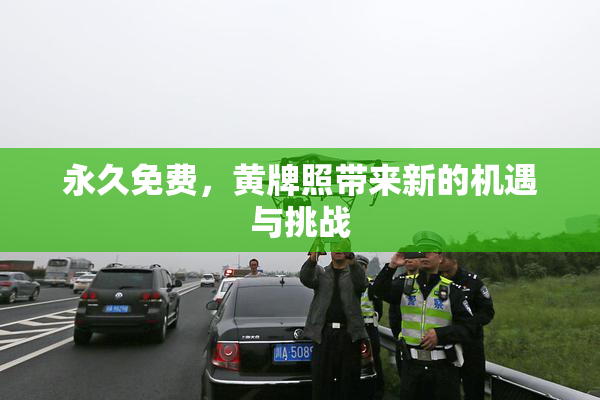永久免费，黄牌照带来新的机遇与挑战
