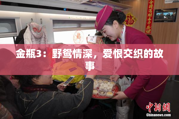 金瓶3：野鸳情深，爱恨交织的故事