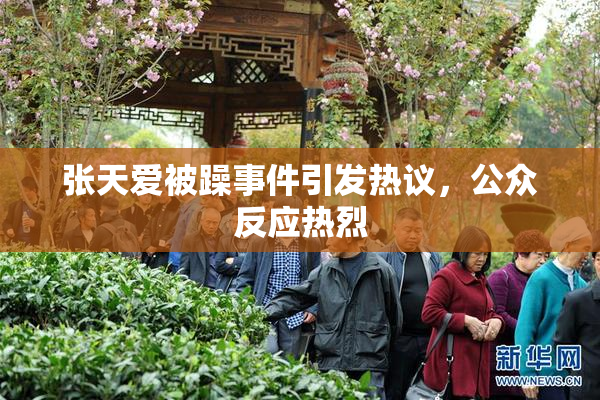 张天爱被躁事件引发热议，公众反应热烈