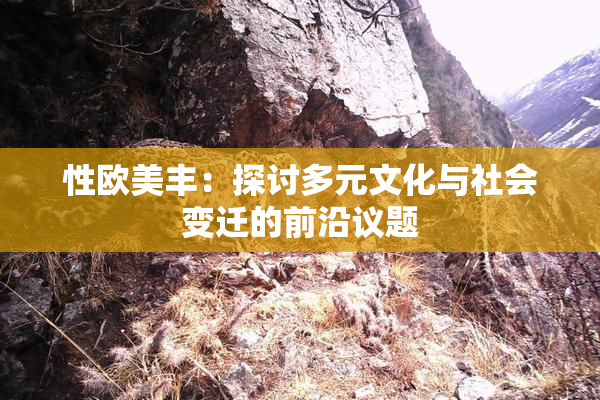 性欧美丰：探讨多元文化与社会变迁的前沿议题
