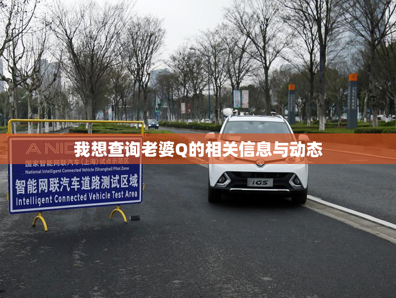 我想查询老婆Q的相关信息与动态
