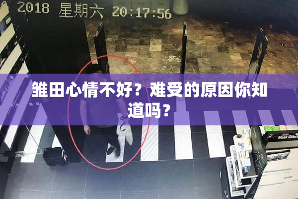 雏田心情不好？难受的原因你知道吗？