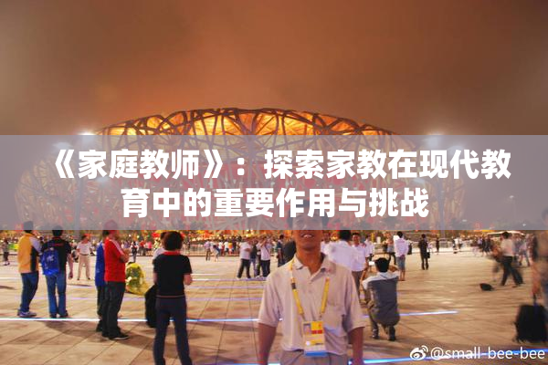 《家庭教师》：探索家教在现代教育中的重要作用与挑战