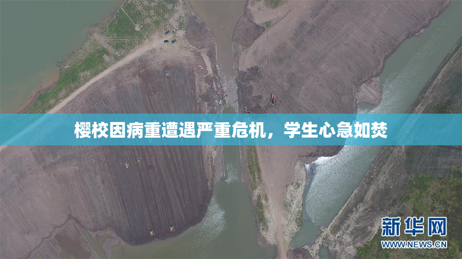 樱校因病重遭遇严重危机，学生心急如焚