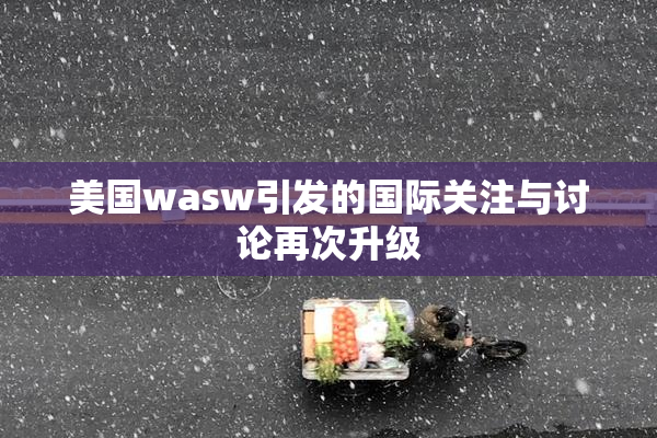 美国wasw引发的国际关注与讨论再次升级