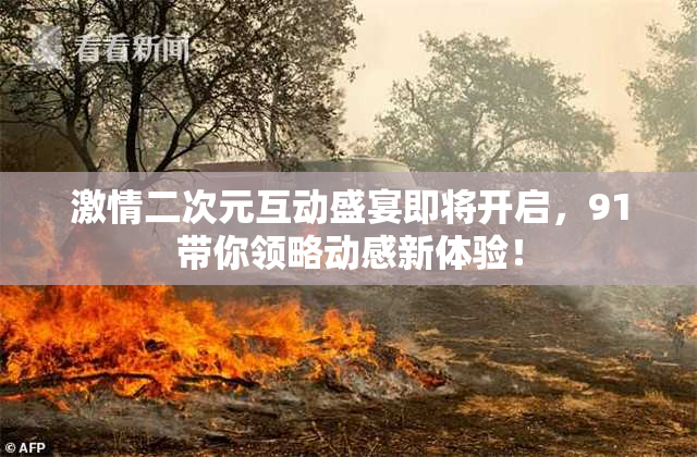 激情二次元互动盛宴即将开启，91带你领略动感新体验！