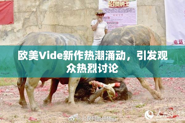 欧美Vide新作热潮涌动，引发观众热烈讨论