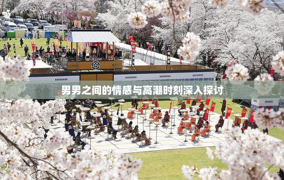 男男之间的情感与高潮时刻深入探讨