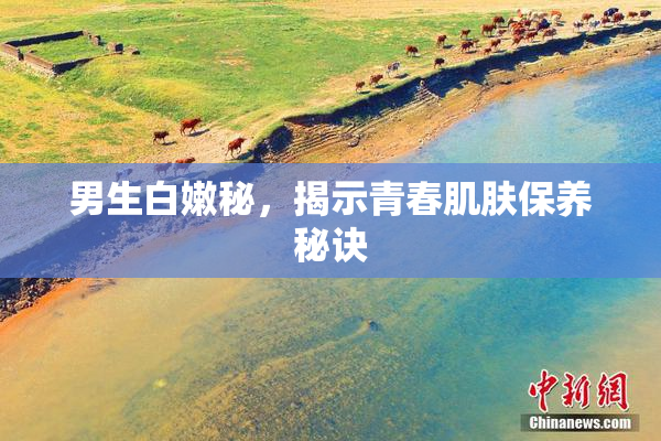 男生白嫩秘，揭示青春肌肤保养秘诀