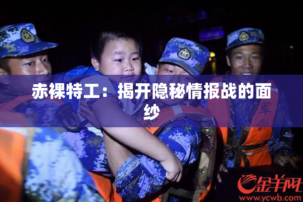 赤裸特工：揭开隐秘情报战的面纱