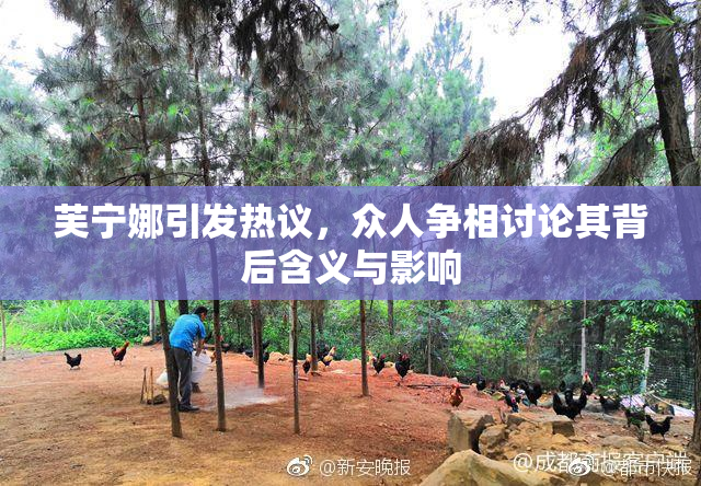 芙宁娜引发热议，众人争相讨论其背后含义与影响