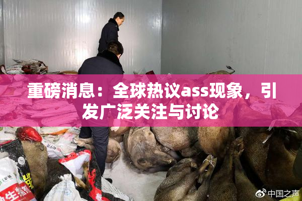 重磅消息：全球热议ass现象，引发广泛关注与讨论