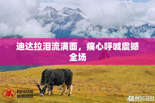 迪达拉泪流满面，痛心呼喊震撼全场