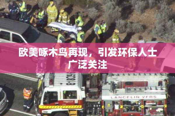 欧美啄木鸟再现，引发环保人士广泛关注
