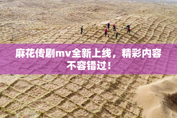 麻花传剧mv全新上线，精彩内容不容错过！