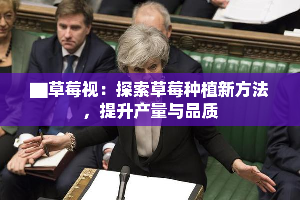 ▇草莓视：探索草莓种植新方法，提升产量与品质