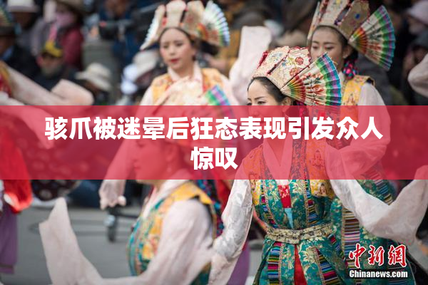 骇爪被迷晕后狂态表现引发众人惊叹