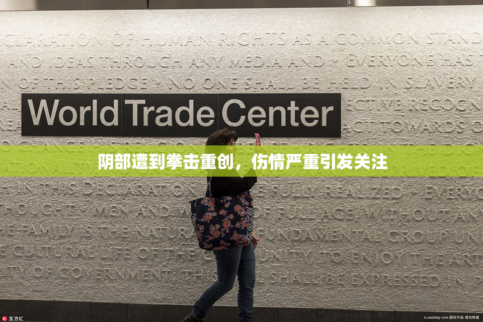 阴部遭到拳击重创，伤情严重引发关注