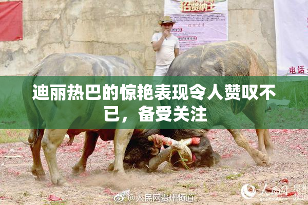迪丽热巴的惊艳表现令人赞叹不已，备受关注