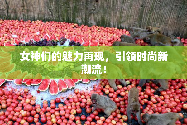 女神们的魅力再现，引领时尚新潮流！