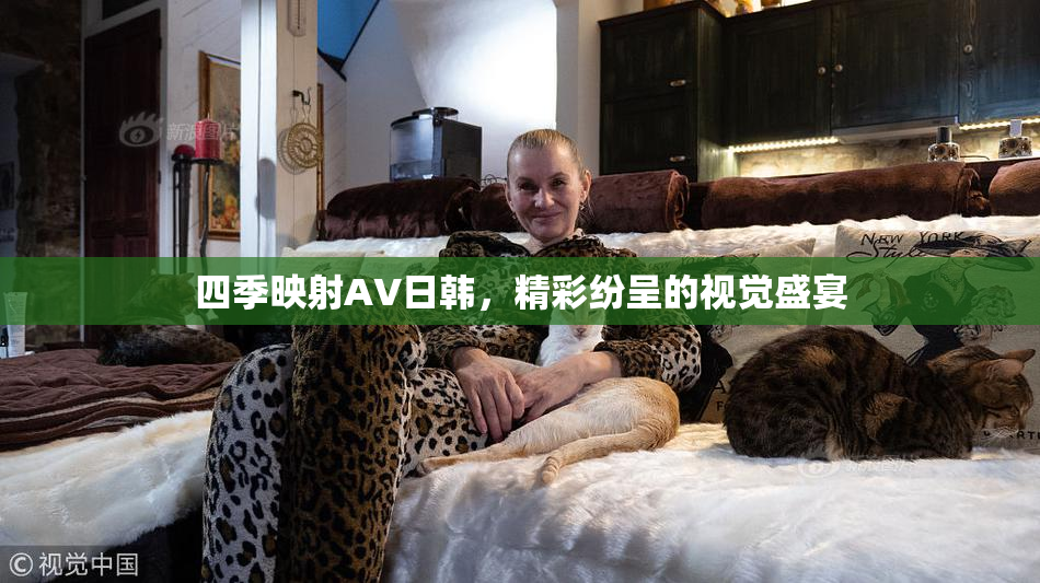 四季映射AV日韩，精彩纷呈的视觉盛宴
