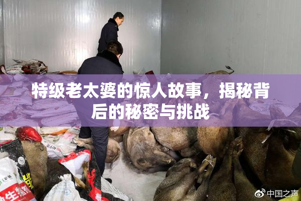特级老太婆的惊人故事，揭秘背后的秘密与挑战