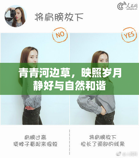 青青河边草，映照岁月静好与自然和谐