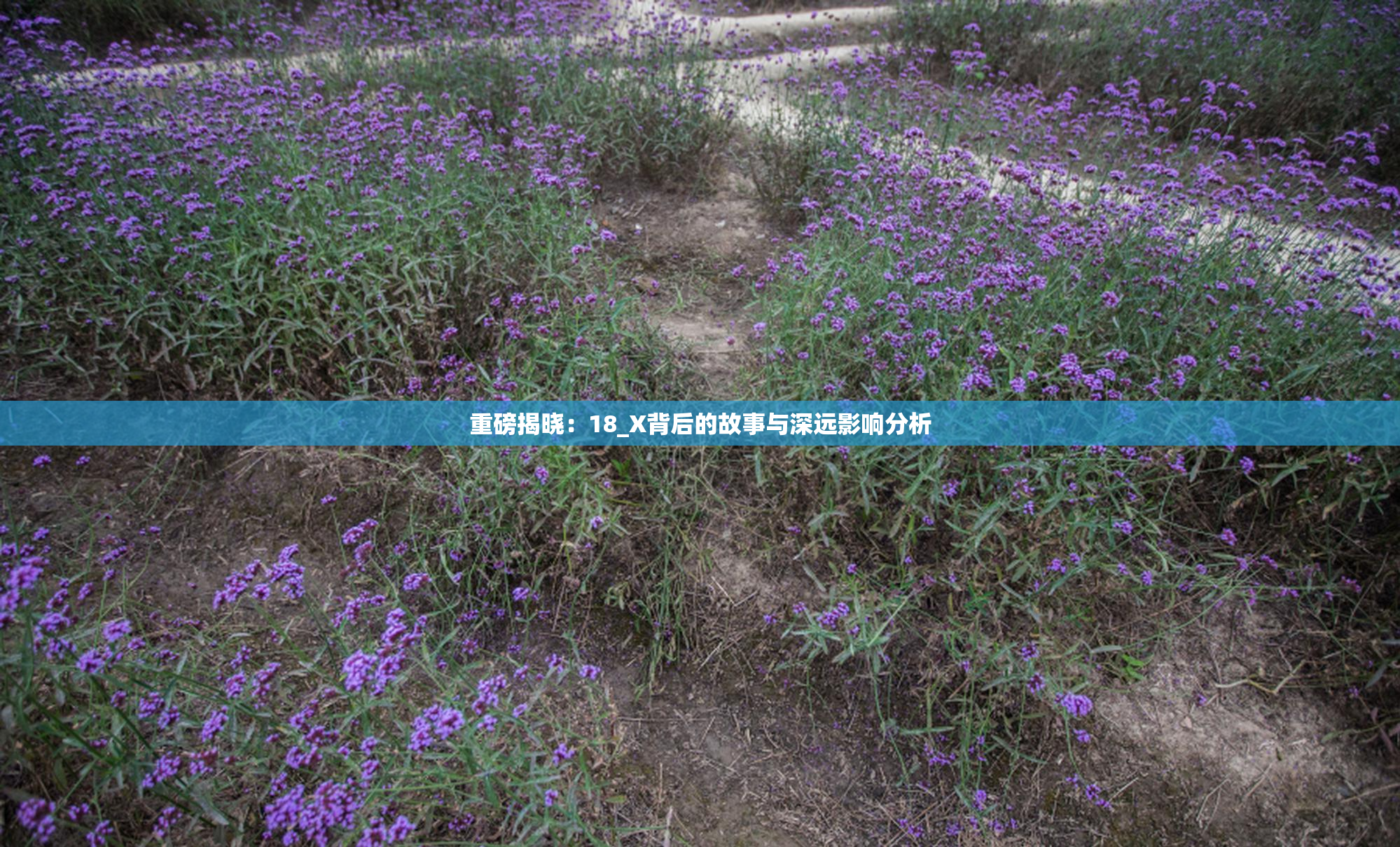 重磅揭晓：18_X背后的故事与深远影响分析