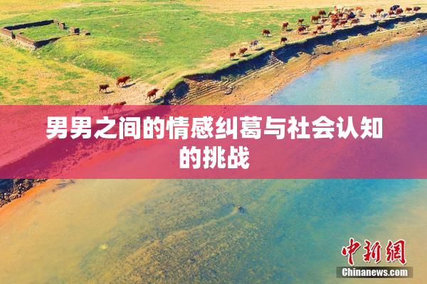 男男之间的情感纠葛与社会认知的挑战