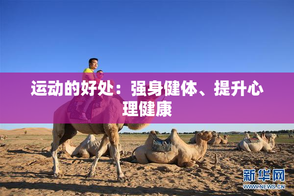 运动的好处：强身健体、提升心理健康