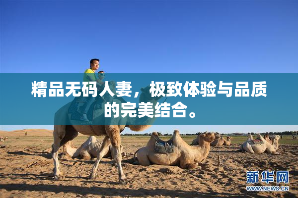 精品无码人妻，极致体验与品质的完美结合。