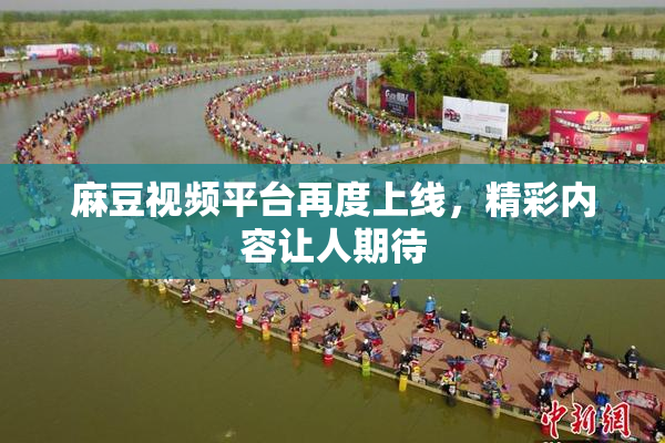麻豆视频平台再度上线，精彩内容让人期待