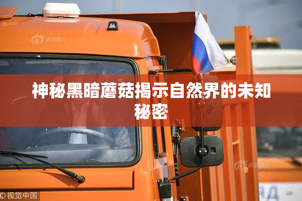 神秘黑暗蘑菇揭示自然界的未知秘密
