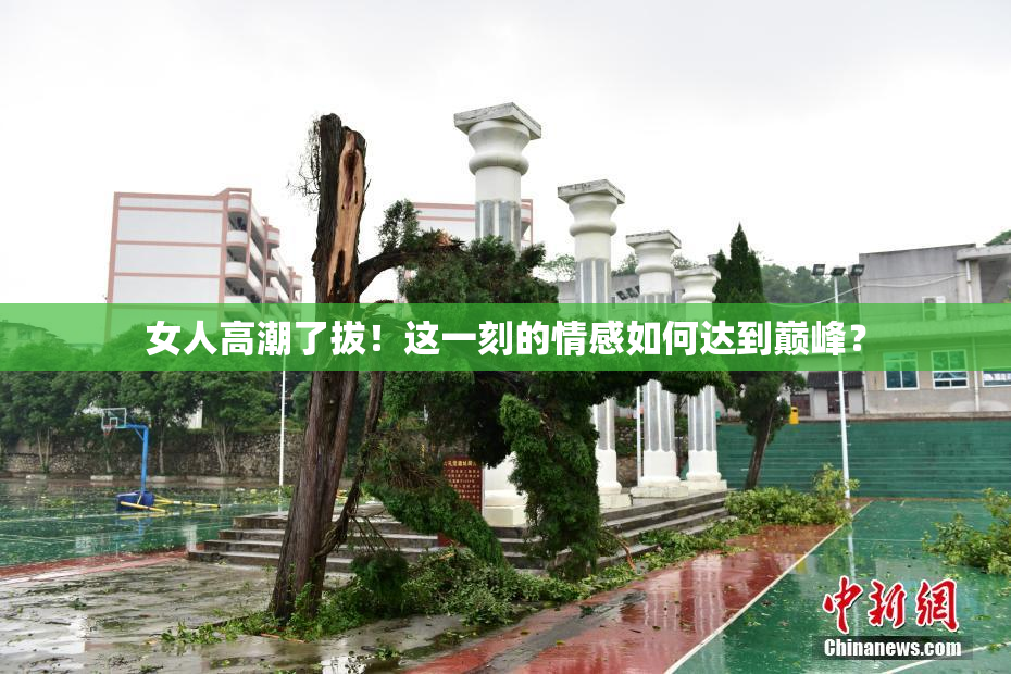 女人高潮了拔！这一刻的情感如何达到巅峰？