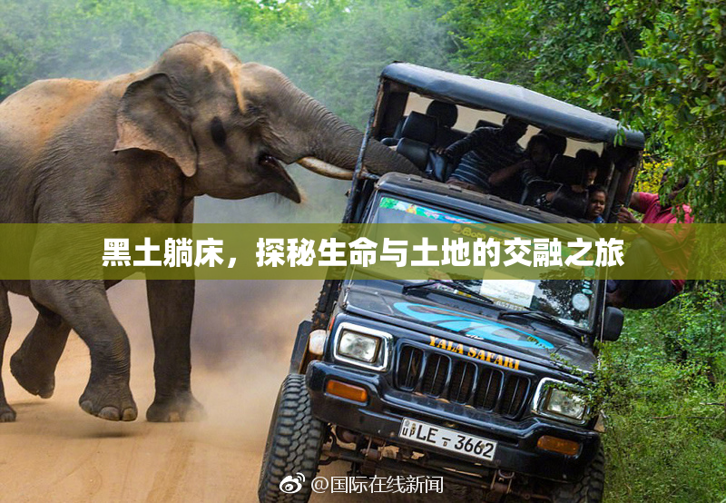 黑土躺床，探秘生命与土地的交融之旅