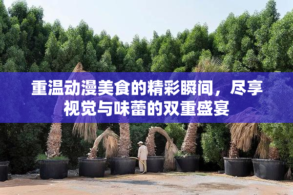 重温动漫美食的精彩瞬间，尽享视觉与味蕾的双重盛宴
