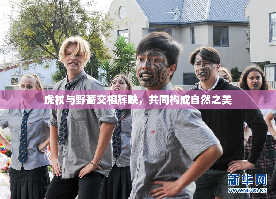 虎杖与野蔷交相辉映，共同构成自然之美