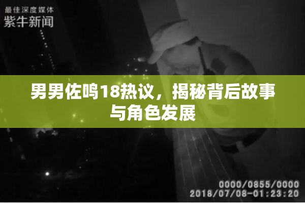 男男佐鸣18热议，揭秘背后故事与角色发展