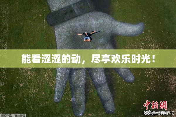 能看涩涩的动，尽享欢乐时光！